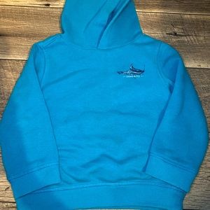 Toddler Boy Crown & Ivy Hoodie